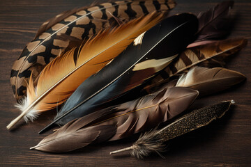 Wall Mural - Feather quills in various shades of brown on a dark brown background, generative ai