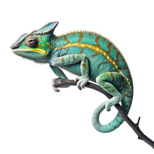 Chameleon Portrait On A Branch, Isolated, Generative Ai