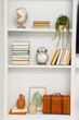 © New Africa - Books and different decorative elements on shelves indoors
