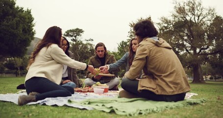 Poster - Friends, picnic and park food on a lawn with young people at a outdoor social event. Lunch, group and happiness of students on grass sitting together with a meal and communication feeling relax