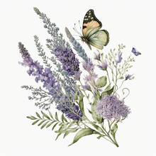 Lavender Flower That A Butterfly Lands On