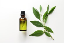 Tea Tree Essential Oil Isolated On White Background