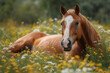 a horse resting in a field of flowers, Generative AI