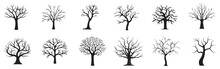 Vector Silhouette Of Tree On White Background. Set Trees Icon. Vector Tree. Vector Illustration. Vector Graphic. EPS 10