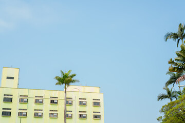 Wall Mural - Yellow building and tropical palm tree in Taiwan