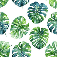 Wall Mural - Monstera leaves seamless pattern on white background. Illustration in watercolor style. Exotic graphic design. Vector file for jungle background.