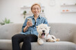 © sofiko14 - Cute purebred Westie yawning on soft couch while cheerful female with mobile phone smiling at dog's fatigue. Small domestic animal feeling tired after active entertainment with owner on sunny day.