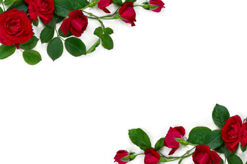 Wall Mural - red roses on a white background with space for text. top view, flat lay
