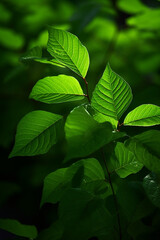 Wall Mural - green leaves generative ai