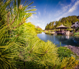 Fototapete - Attractive spring view of wooden gazebo on the shore of small pond among branches of alpine pine. Green view of first warm day in botanical garden. Beauty of nature concept background.