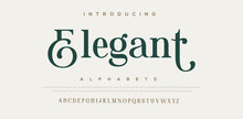 Elegant Awesome Alphabet Letters Font And Number. Unique Serif Font. Classic Lettering Minimal Fashion Designs. Typography Fonts Regular Uppercase And Lowercase. Vector Illustration