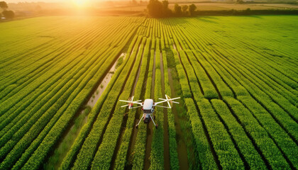 Drones to monitor and analyze agricultural fields