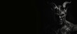 © JoelMasson - Black and white photorealistic studio portrait of the demonic being lucifer the devil on black background