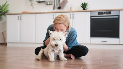 Wall Mural - Happy caucasian female adult in casual clothes rubbing ears of small terrier while sitting cross-legged in kitchen. Smiling slim woman making her adorable furry friend feel relaxed during day indoors.