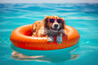 Illustration of dog on inflatable tire for swimming