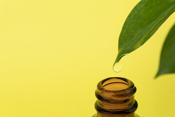 A drop of liquid raw material runs down a green leaf and drips into the neck of the bottle