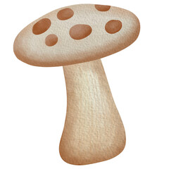 mushroom isolated on white watercolor painting