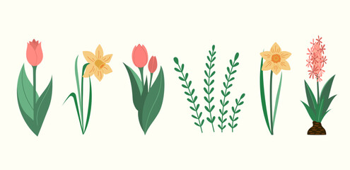 Wall Mural - Blooming Tulips and Narcissus flowers spring vector illustrations collection. Green leaves and flowers blossom seasonal flat style drawings set Isolated
