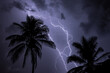 Lightning Strike between two palm trees