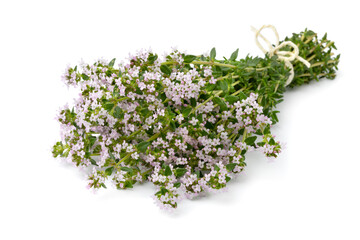 Wall Mural - Bouquet of pink flowering fresh thyme close up on white background