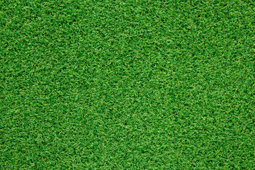 Canvas Print - green grass background