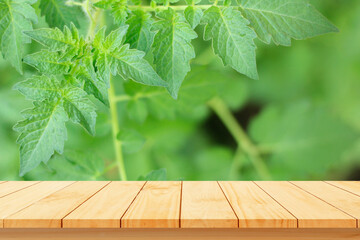 Wall Mural - Wood floor with blurred trees of nature park background and summer season, product display montage