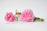 Rosa damascena. Damask rose. Oil-bearing rose. Bulgarian rose oil.	Organic. Rose water.