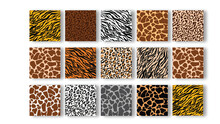 Animal Skins Seamless Pattern Set. Collection Of Print Skins. Vector Illustration. Printable Background.	