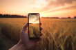 Picture of man's hand holding smartphone with beautiful picture on screen. Golden wheat at Sunset. Generative Ai