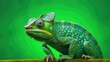 © faiz - green iguana on a branch