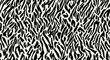 Fototapeta Konie - Estampado de patrón de cebra con pelaje a rayas negras y blancas