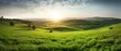 Beautiful natural spring summer landscape of meadow in a hilly area on sunset. Field with young juicy green grass