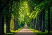 There Is A Pedestrian Lane Route With Green Trees In The Forest. Beautiful Street And Lane In The Park. Passage Through A Natural Tunnel Through Summer Forest. Generative AI