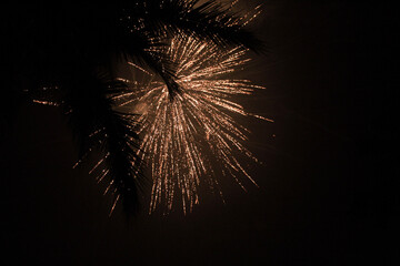 fireworks in the sky