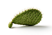 Nopal Cactus Isolated On White Background Generative Ai
