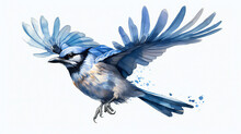Blue Bird Flying Watercolor