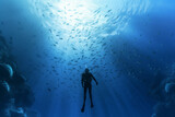 Fototapeta Do akwarium - Silhouette of a Diver Swimming in the Blue Deep Sea with a Bunch of Fish