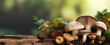 Mushrooms organic vegetable for cooking copy space blurred background, generative AI