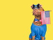 © Svetlana - Cute brown puppy, sunglasses and American Flag. Travel preparation and planning. Closeup, indoors. Studio shot. Concept of care, education, obedience training and raising pets