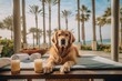 Golden Retriever dog in luxurious spa experience, getting relaxing massage by the ocean as palm trees background. Generative AI