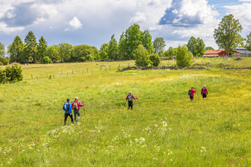 Poster - People hiking on a meadow with wild flowers