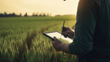 Fototapeta  - agronomist using a tablet in an agricultural field, Generative AI