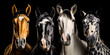 Portrait of 4 horses of different colors - IA générative