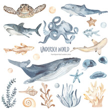 Watercolor Set With Underwater Creatures, Animals, Whale, Octopus, Dolphin, Shark, Fish, Algae, Corals, Sea Turtle For Invitations