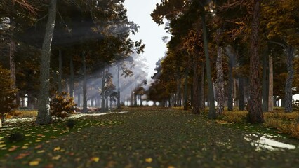 Wall Mural - Beautiful sun rays break through the trees during the autumn season