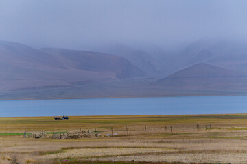 Wall Mural - grasslands, Lake Moriri, mountains, cloudy sky. Beautiful scenery at the mountain lake, Ladakh, India