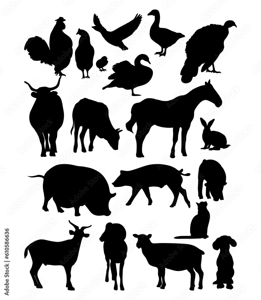 Silhouettes domestic farm animals and birds. Collection vector isolated ...