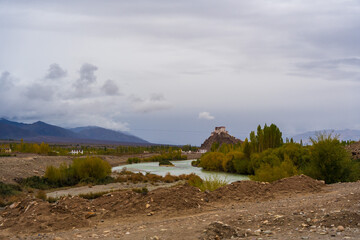 Wall Mural - Indus River, the tree, mountain and cloudy sky at Manali town, Ladakh, India