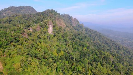 Wall Mural - Drone shot of forest on the hill. green view at the top of the hill.
