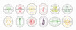 © createvil - Vegetables Frame Badges Logo Templates Collection. Hand Drawn Vegetable Sketch with Retro Typography in a Vintage Frames. Vegan Food Concept Emblems Set Isolated